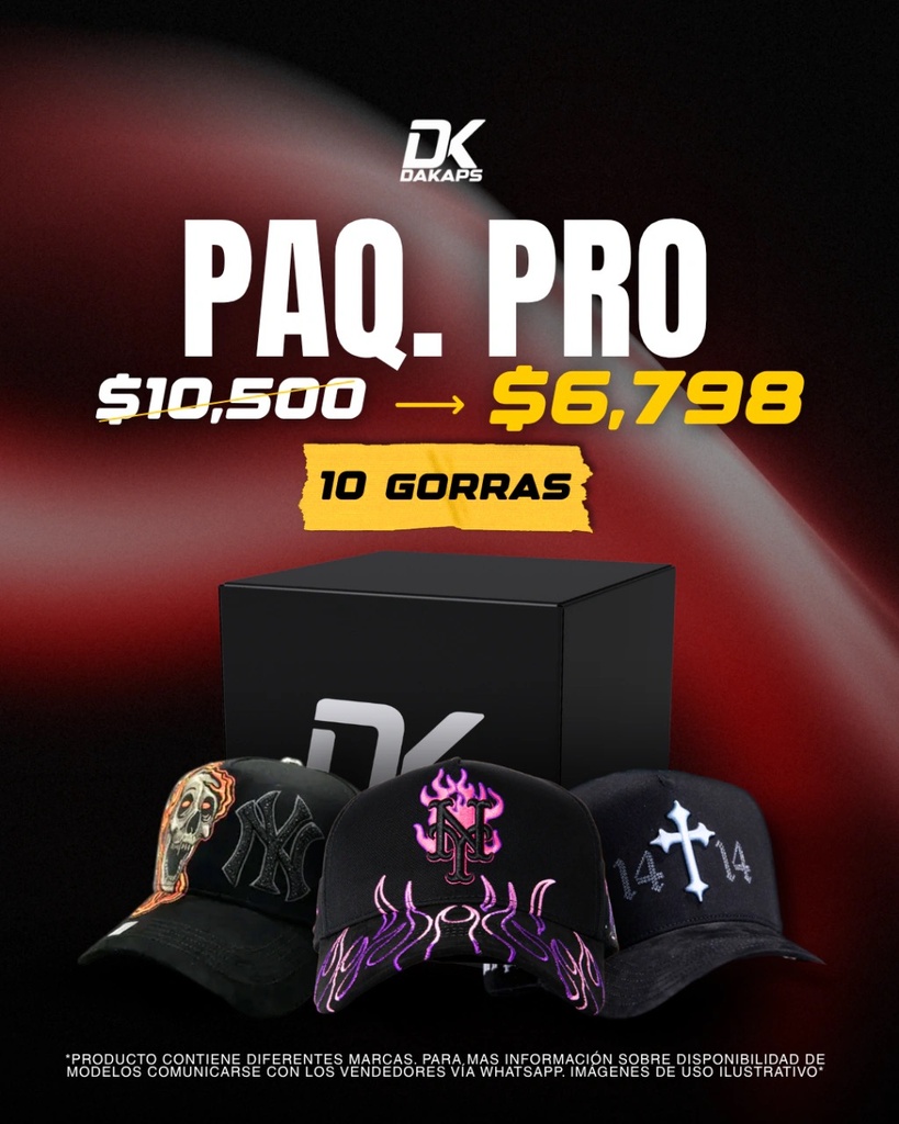 PAQUETE EMPRENDEDOR PREMIUM (15)