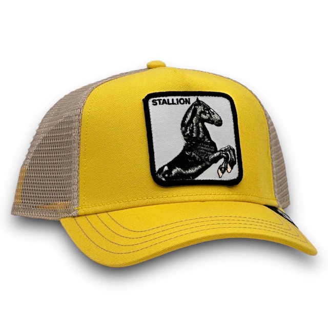 [GBGUNUN26OS0053] STALLION YELLOW