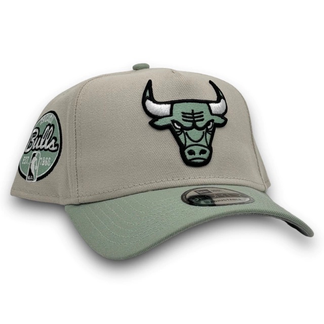 [NEGBEAZ26OS0045] BULLS BEIGE AQUA 9FORTY